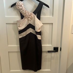 C. Luce charcoal and pink chevron dress